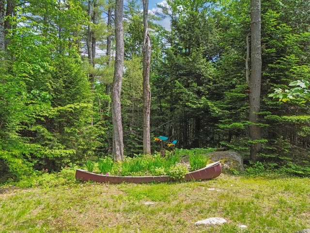 52 Main Rd, Chesterville, ME 04938 - view of yard featuring a view of trees