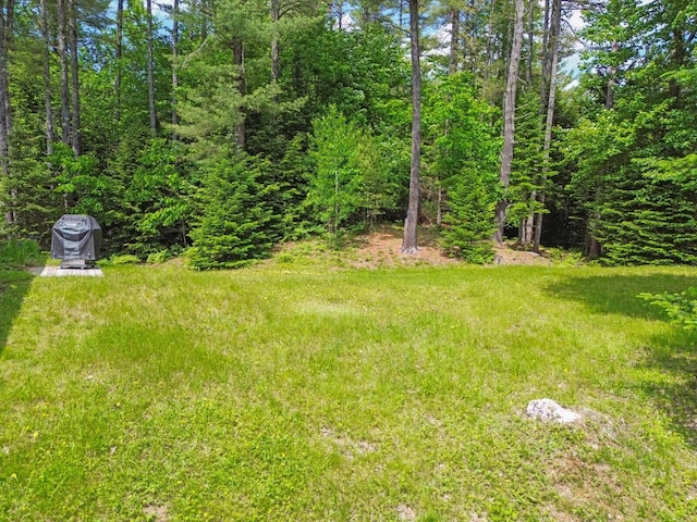 52 Main Rd, Chesterville, ME 04938 - view of yard
