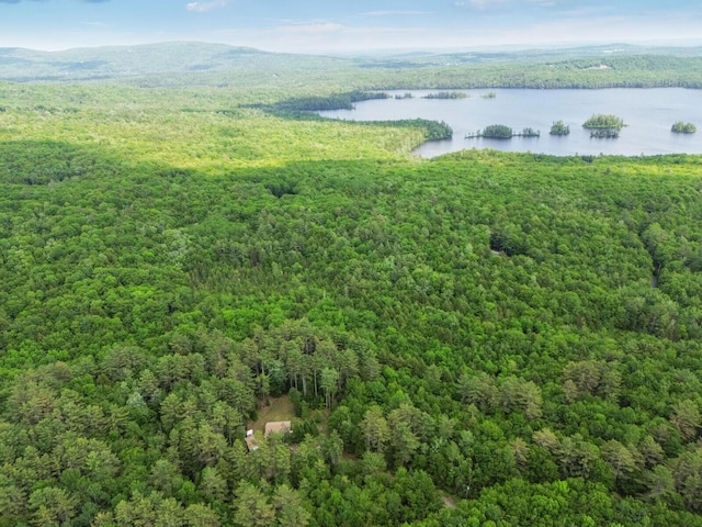 52 Main Rd, Chesterville, ME 04938 - drone / aerial view of a forest and a large body of water