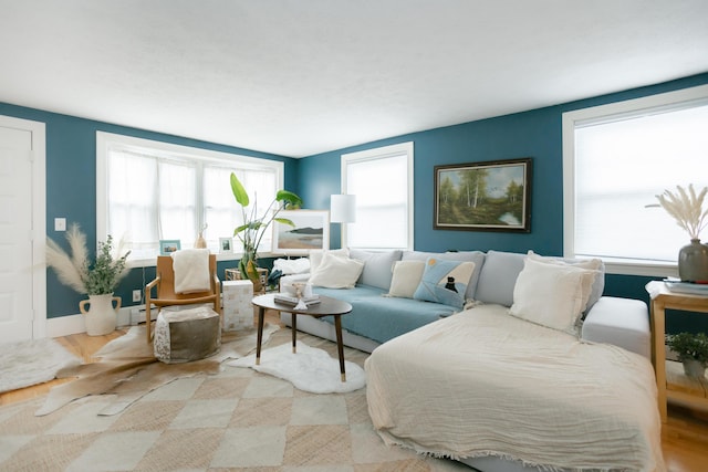 living area featuring wood finished floors and a baseboard radiator