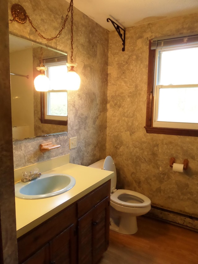 365 Country Club 3rd Rd, Sanford, ME 04073 - bathroom with plenty of natural light, wood finished floors, toilet, and vanity