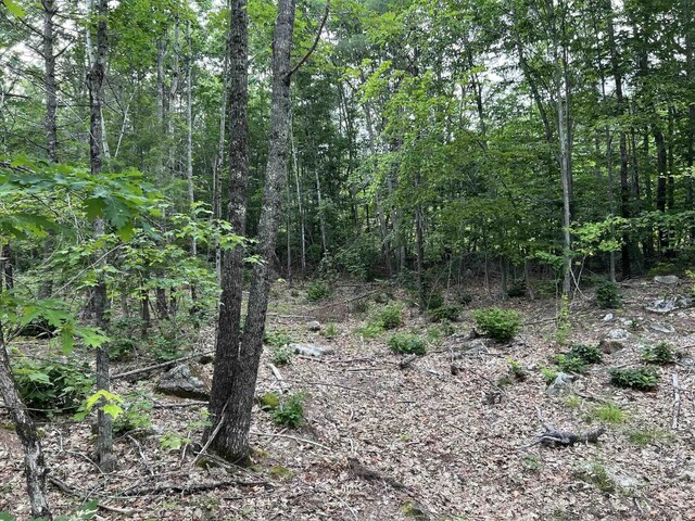 00 N Shore Rd, Gray, ME 04039 - photo 6
