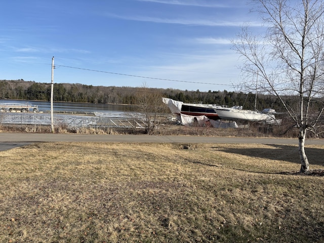 20 Water St, Winterport, ME 04496 - view of yard with a water view