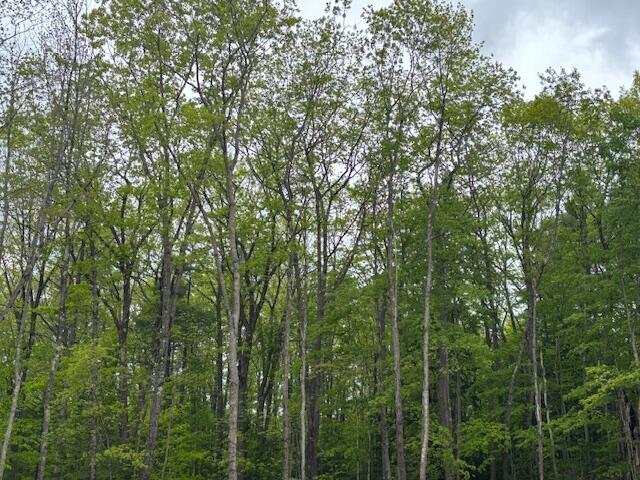 13-9B Bakerstown Rd, Poland, ME 04274 - photo 3