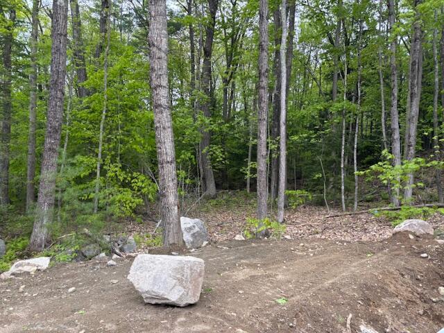 13-9B Bakerstown Rd, Poland, ME 04274 - photo 4
