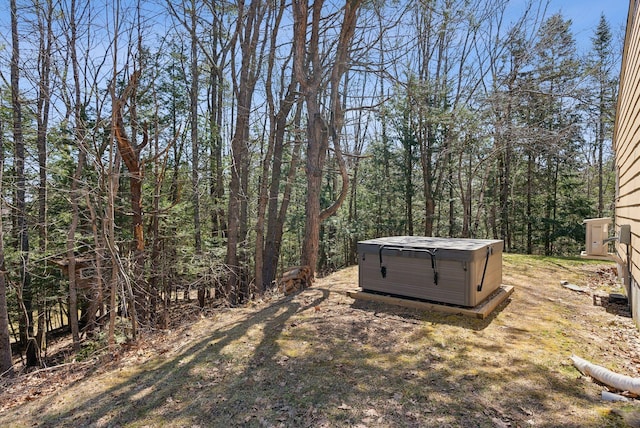 view of yard with a hot tub