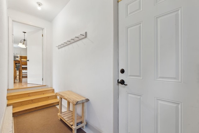 entryway with carpet flooring