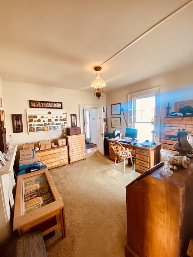 office featuring carpet flooring