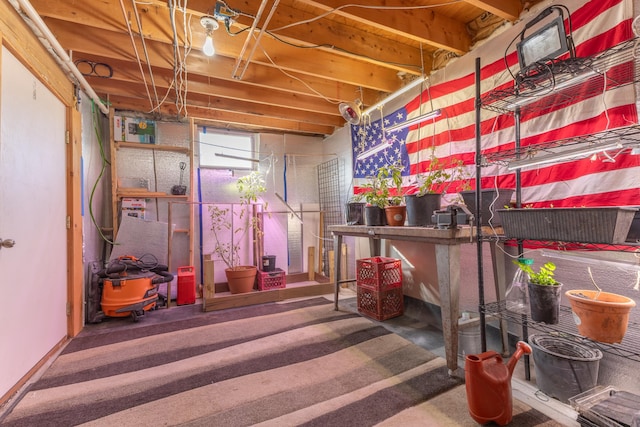 view of basement