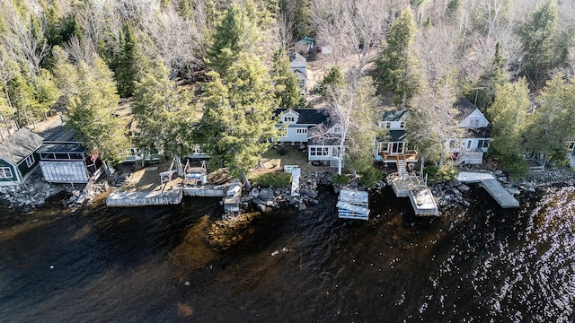 bird's eye view with a forest view and a water view