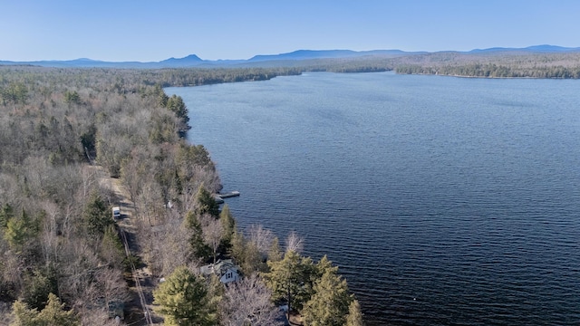 bird's eye view with a water and mountain view and a view of trees