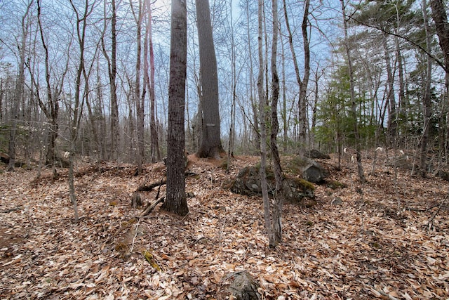 LOT45.3 Onawa Rd, Elliottsville Twp, ME 04443