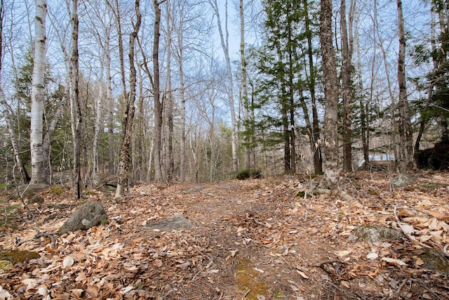 LOT45.3 Onawa Rd, Elliottsville Twp, ME 04443