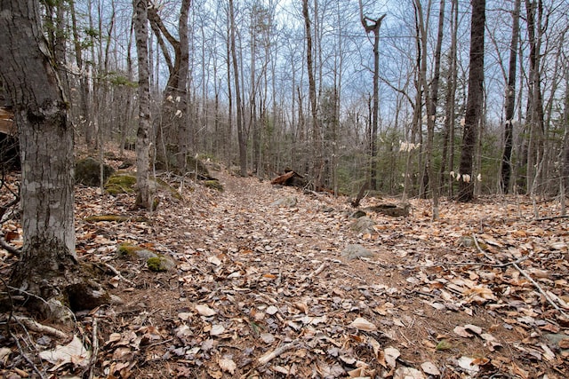 LOT45.3 Onawa Rd, Elliottsville Twp, ME 04443