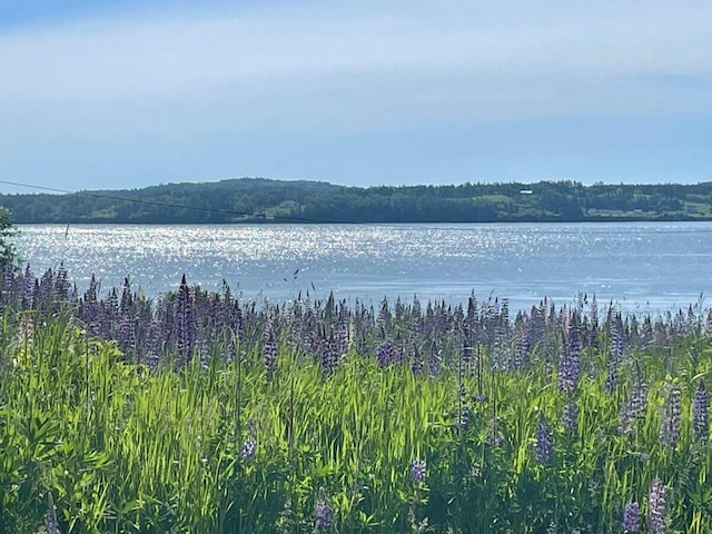 191 Water St, Eastport, ME 04631 - water view