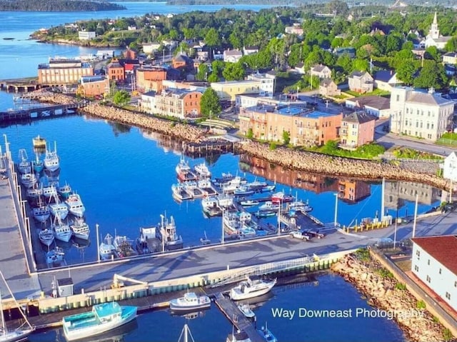 191 Water St, Eastport, ME 04631 - aerial view of a large body of water and numerous boat docks