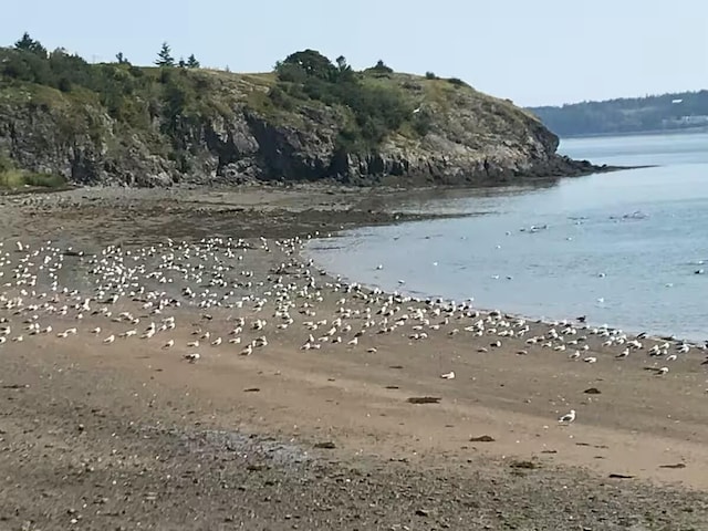191 Water St, Eastport, ME 04631 - water view