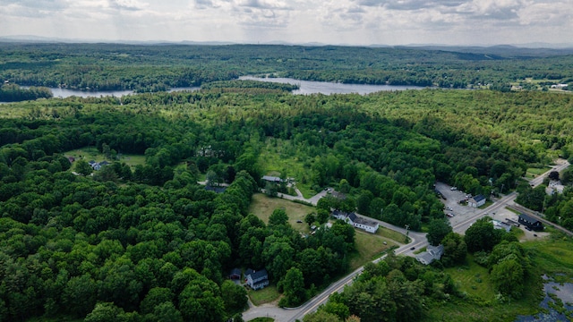 3 Adell Rd, Readfield, ME 04355 - view of property location featuring a forest and a nearby body of water