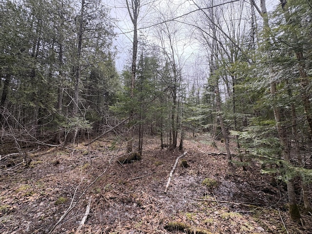 016-D Presque Isle Rd, Ashland, ME 04732