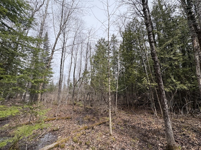 016-D Presque Isle Rd, Ashland, ME 04732