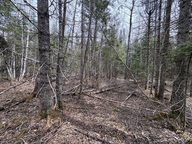 016-D Presque Isle Rd, Ashland, ME 04732
