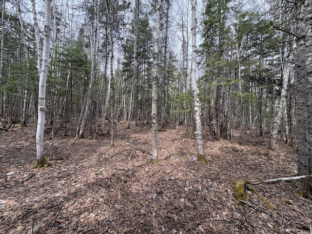 016-D Presque Isle Rd, Ashland, ME 04732