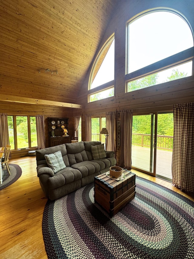 362 N Raymond Rd, Poland, ME 04274 - living area featuring high vaulted ceiling, light wood-type flooring, and wood walls