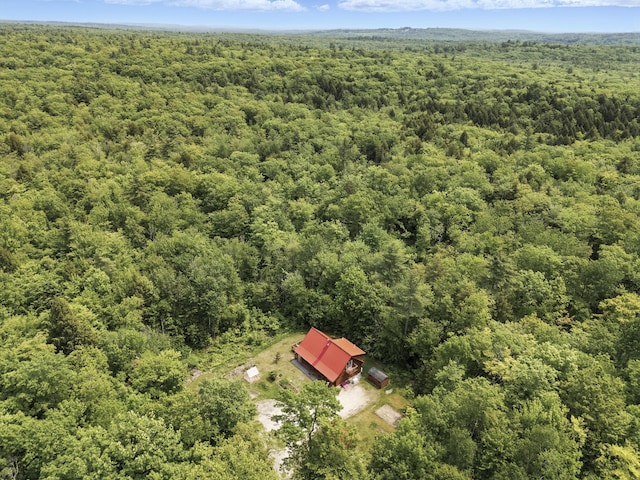 362 N Raymond Rd, Poland, ME 04274 - aerial view of a forest