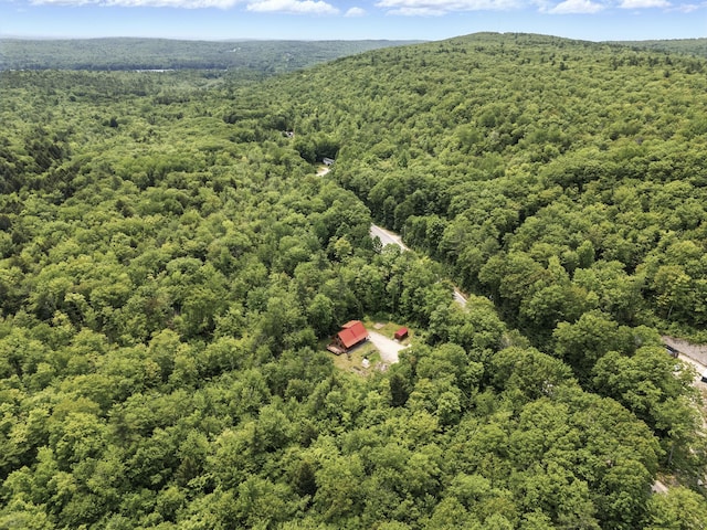 362 N Raymond Rd, Poland, ME 04274 - bird's eye view of a heavily wooded area