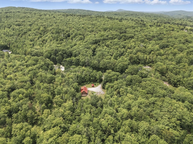 362 N Raymond Rd, Poland, ME 04274 - aerial view of a heavily wooded area
