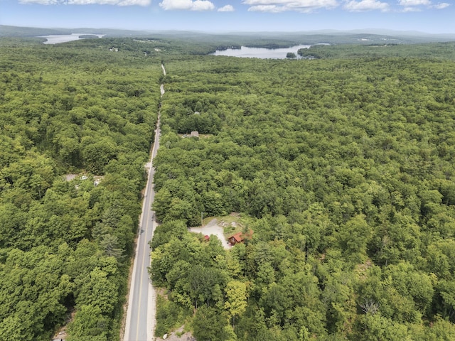 362 N Raymond Rd, Poland, ME 04274 - drone / aerial view of a heavily wooded area and a nearby body of water