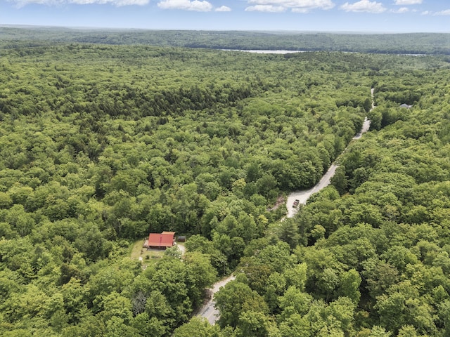 362 N Raymond Rd, Poland, ME 04274 - drone / aerial view of a heavily wooded area