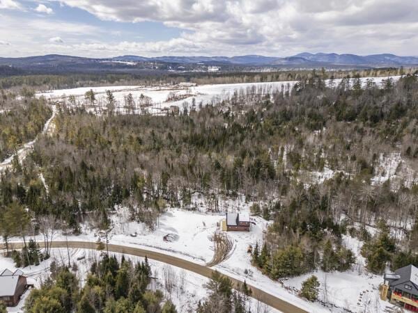 18 Thayer Way, Bethel, ME 04217 - snowy aerial view featuring a mountain view