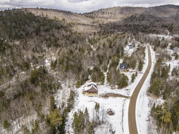 18 Thayer Way, Bethel, ME 04217 - snowy aerial view with a mountain view and a forest view