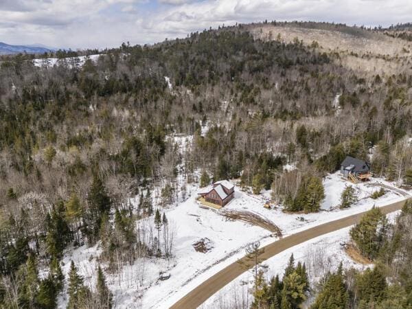 18 Thayer Way, Bethel, ME 04217 - snowy aerial view with a mountain view and a forest view