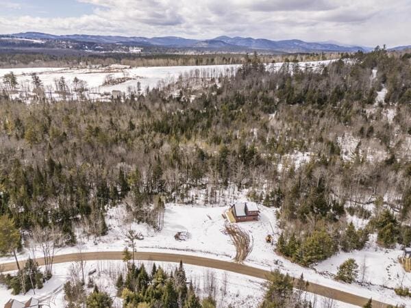 18 Thayer Way, Bethel, ME 04217 - snowy aerial view featuring a mountain view