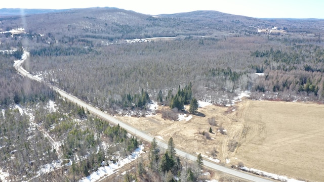 687 Grendell Rd, Chapman, ME 04757