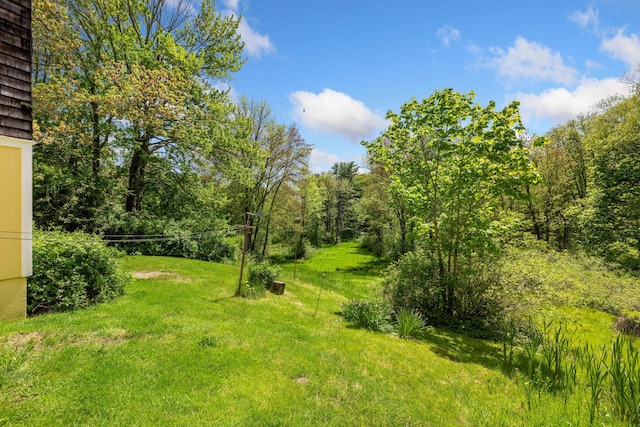 199 Ferry Rd, Saco, ME 04072 - view of grassy yard