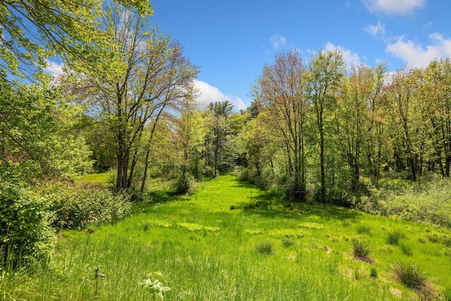 199 Ferry Rd, Saco, ME 04072 - view of woods