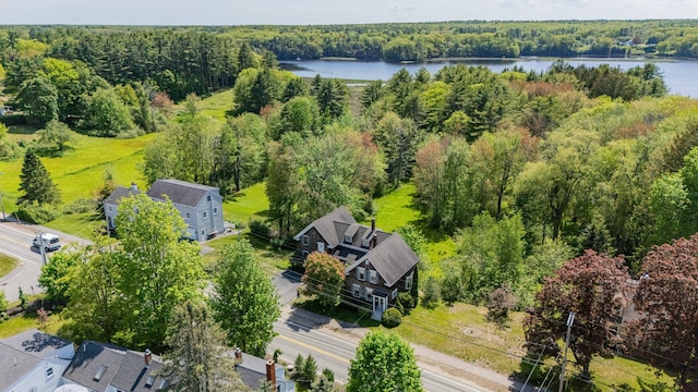 199 Ferry Rd, Saco, ME 04072 - aerial view of a forest and a nearby body of water