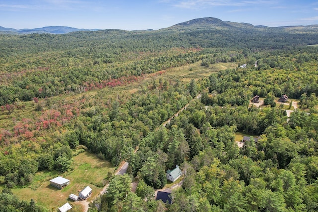 373 Vernon St, Bethel, ME 04217 - photo 45
