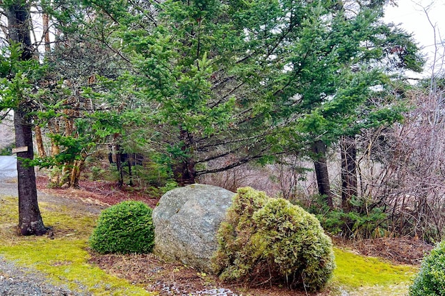 177 Richtown Rd, Tremont, ME 04612 - photo 49