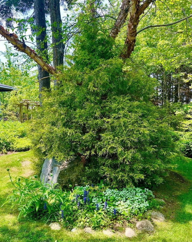 177 Richtown Rd, Tremont, ME 04612 - photo 57