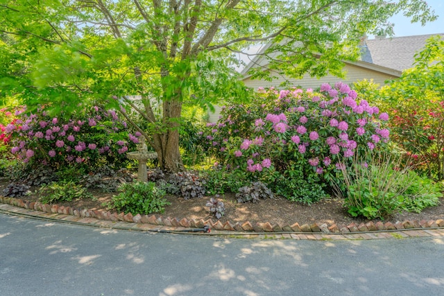 48 Old Searsport Ave, Belfast, ME 04915 - photo 149