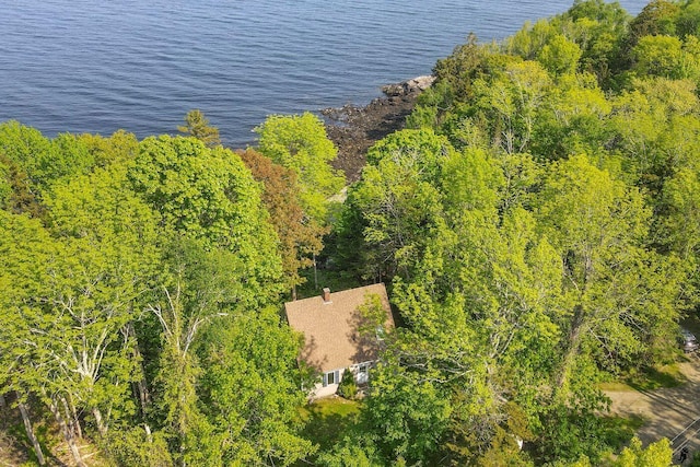 15 Eds Rd, Camden, ME 04843 - view of subject property featuring a heavily wooded area and a large body of water