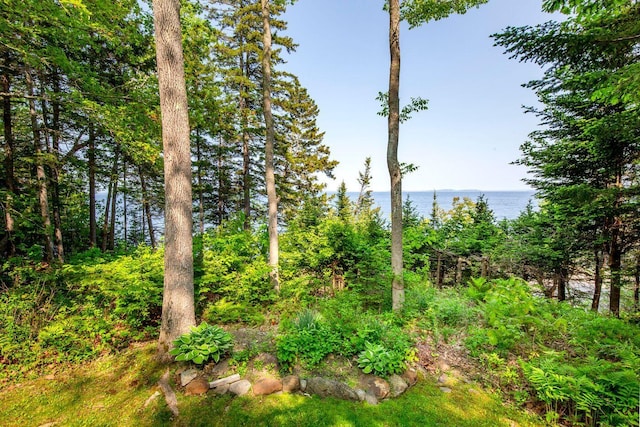 15 Eds Rd, Camden, ME 04843 - water view