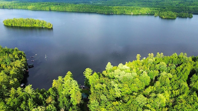38 Bonzos Holw, Mount Vernon, ME 04352 - photo 65
