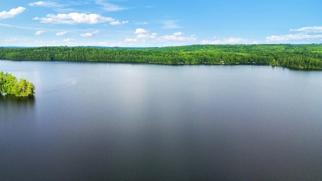 38 Bonzos Holw, Mount Vernon, ME 04352 - photo 67