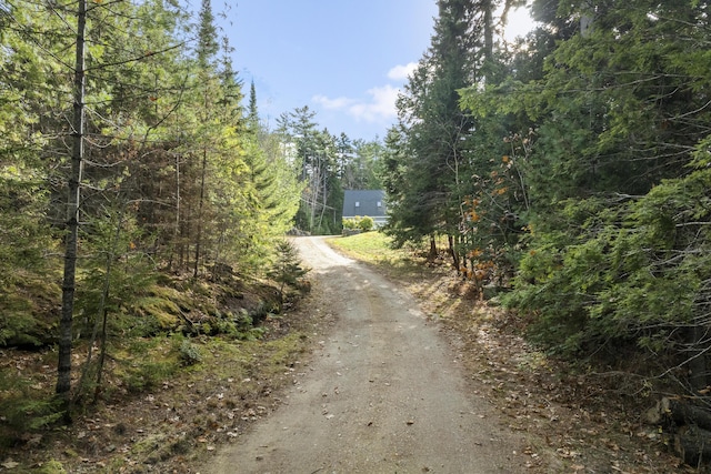 39 Catlin Shore Rd, Harpswell, ME 04079 - view of road featuring a view of trees