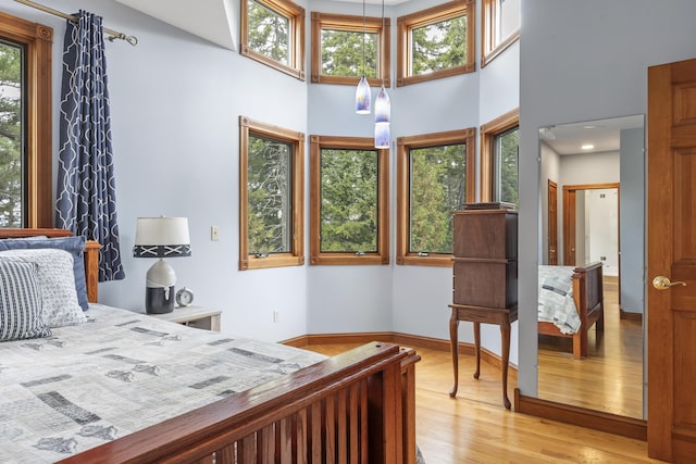 39 Catlin Shore Rd, Harpswell, ME 04079 - bedroom with multiple windows, light wood-style floors, a towering ceiling, and baseboards
